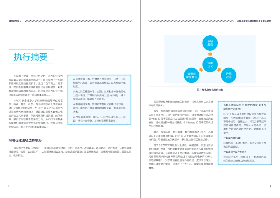 中国典型省份煤电转型优化潜力研究（执行摘要）-自然资源保护协会_第3页
