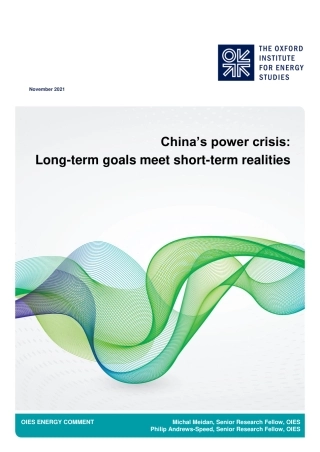 中国的电力危机：长期目标符合短期现实（英）-牛津大学