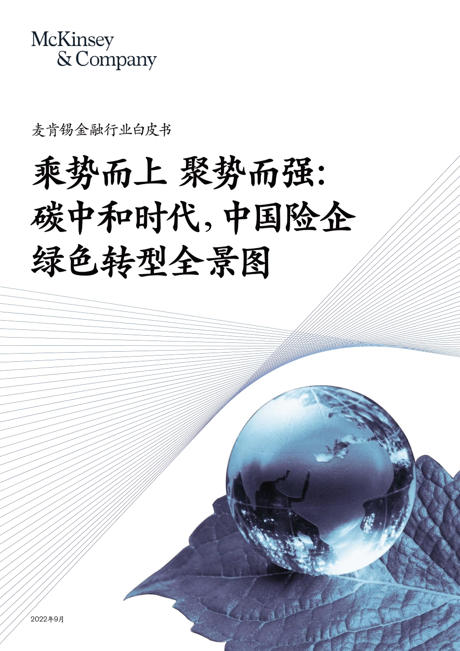 乘势而上，聚势而强：碳中和时代，中国险企绿色转型全景图_第1页