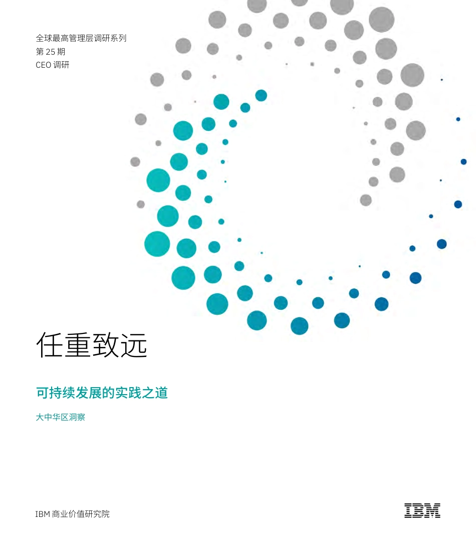 任重致远：可持续发展的实践之道-IBV_第1页