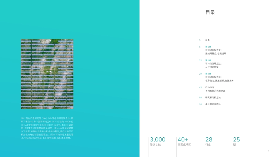 任重致远：可持续发展的实践之道-IBV_第2页
