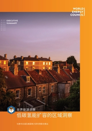 低碳氢能扩容的区域洞察-世界能源理事会