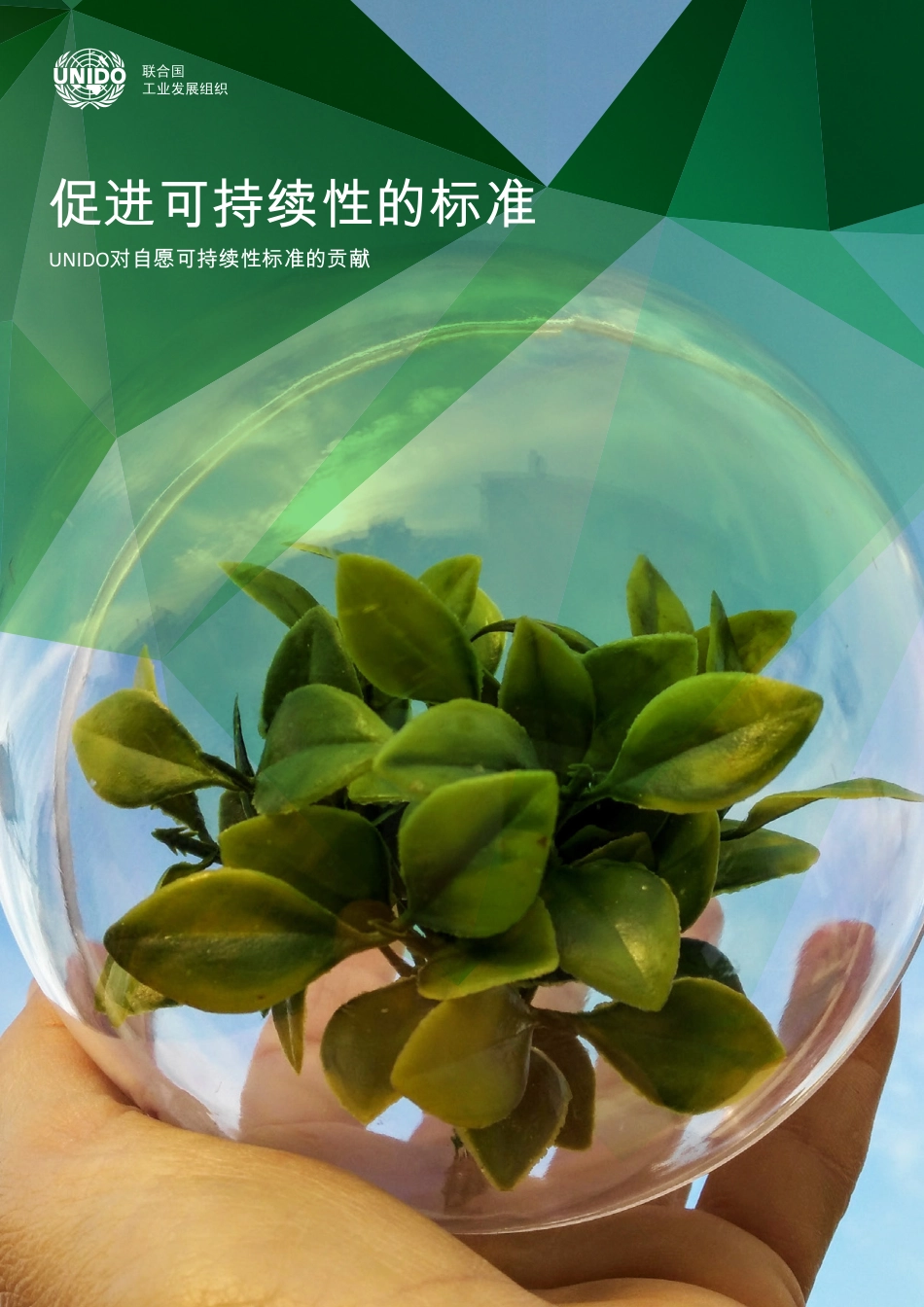 促进可持续性的标准——UNIDO对自愿可持续性标准的贡献-UNIDO_第1页