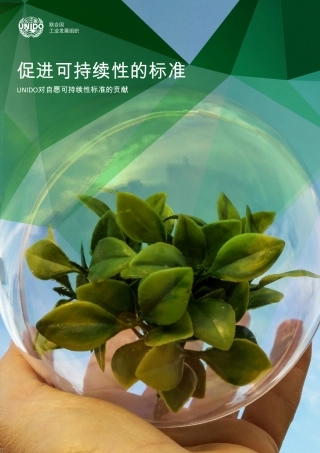 促进可持续性的标准——UNIDO对自愿可持续性标准的贡献-UNIDO