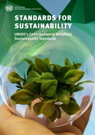 促进可持续性的标准（英）-UNIDO