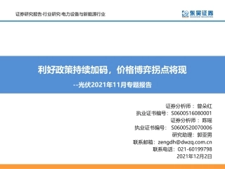 光伏2021年11月专题报告：利好政策持续加码，价格博弈拐点将现