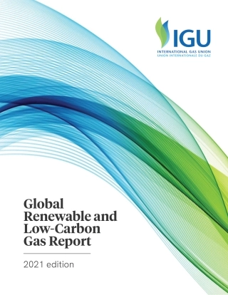 全球可再生和低碳气体报告（2021版）-国际煤气联盟