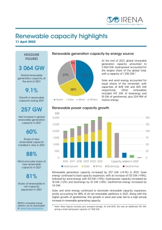 全球可再生能源装机容量亮点2022（英）-国际可再生能源署