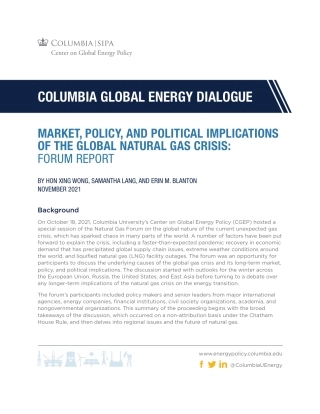 全球天然气危机的市场、政策和政治影响：论坛报告（英）-哥伦比亚大学