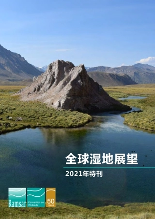 全球湿地展望：2021年特刊-WWF