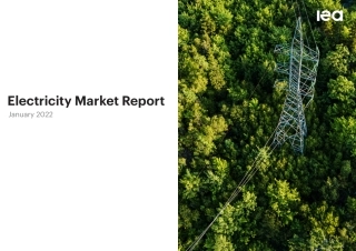 全球电力市场报告2022（英）-IEA