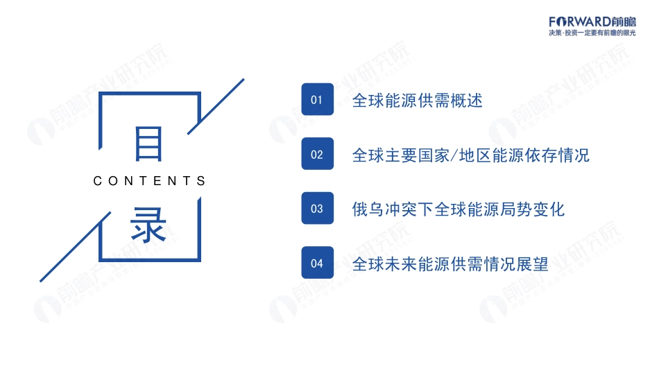 全球能源依存格局及趋势报告_第2页
