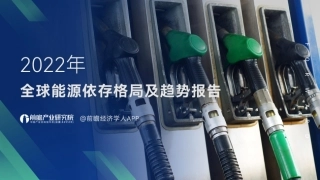 全球能源依存格局及趋势报告