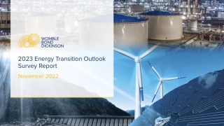 全球能源转型展望调查报告2023（英）-WBD