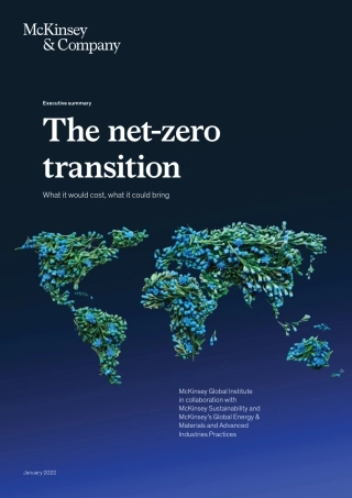 净零排放：成本与回（英）-麦肯锡