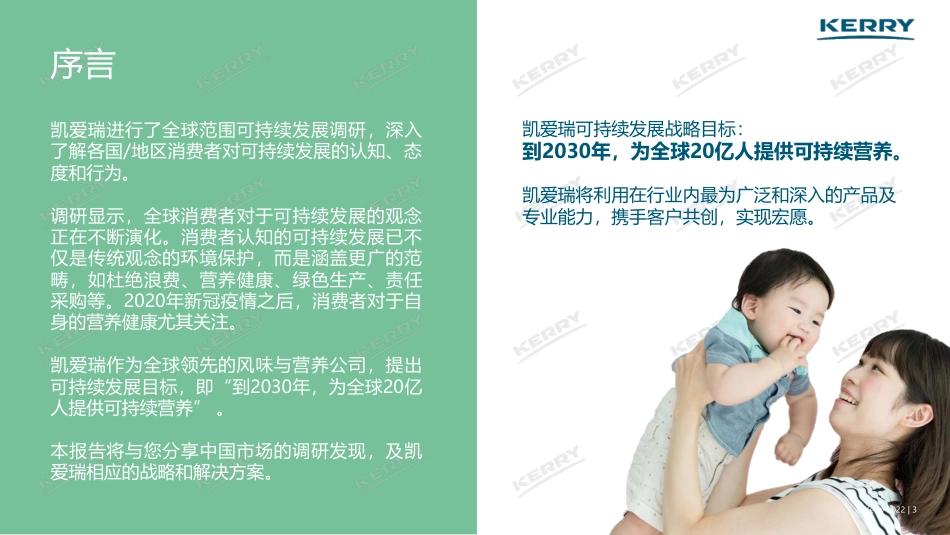 凯爱瑞中国可持续发展白皮书---KERRY_第3页