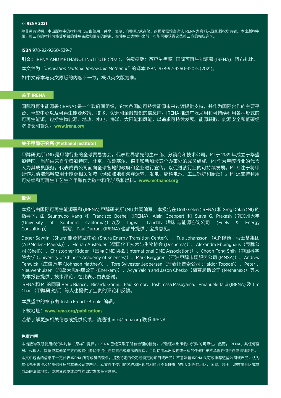 创新前景：可再生甲醇-国际可再生能源机构_第2页