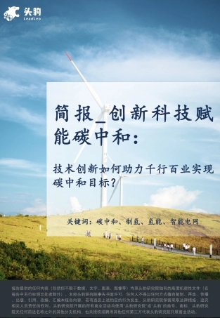 创新科技赋能碳中和：技术创新如何助力千行百业实现碳中和目标？-头豹研究院