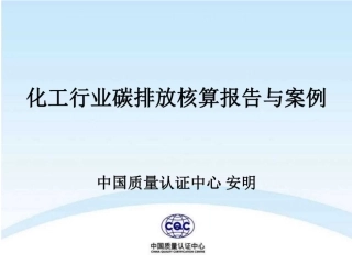 化工行业碳排放核算报告解析