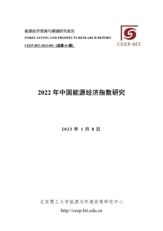 北京理工大：2022年中国能源经济指数研究