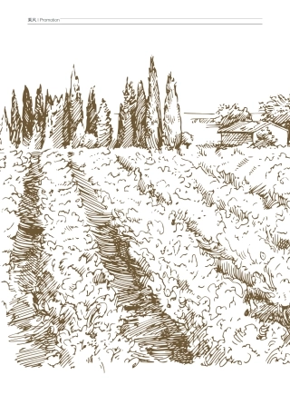 千乡万村唱响“大风”歌——三峡能源发展风电助力乡村振兴_王亚琼