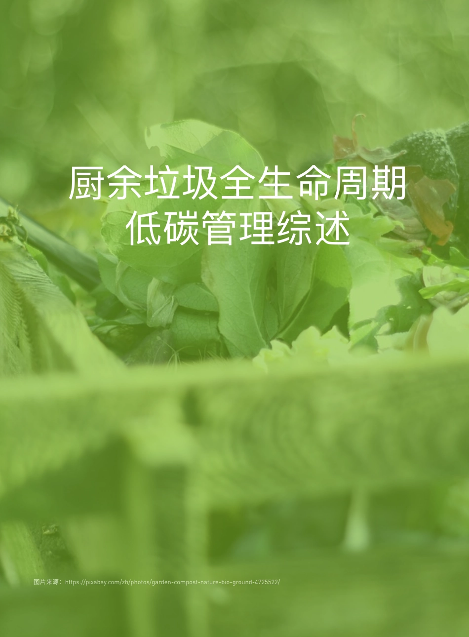 厨余垃圾全生命周期低碳管理综述-绿色和平_第3页