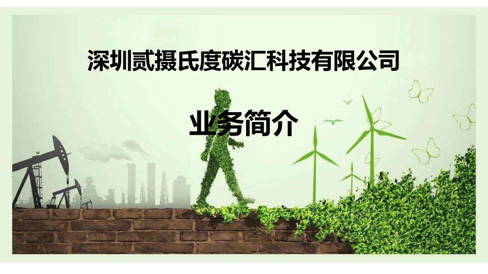 双碳项目集成解决方案：碳咨询、碳资产、碳汇开发_第1页