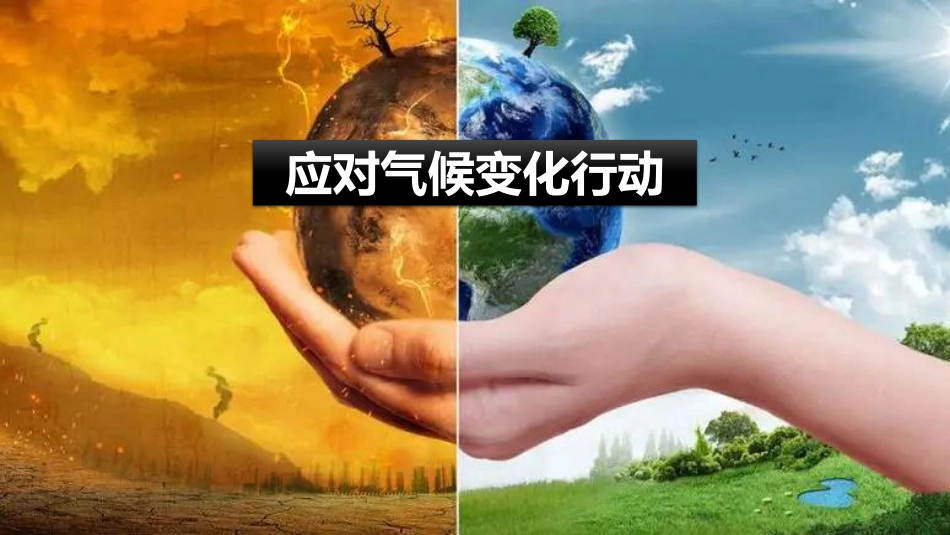 双碳项目集成解决方案：碳咨询、碳资产、碳汇开发_第3页