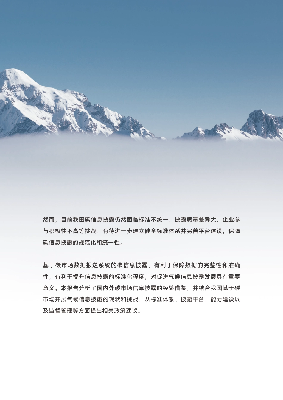 基于碳市场开展中国气候信息披露国际经验与政策建议（中文版）---环境保护基金_第3页