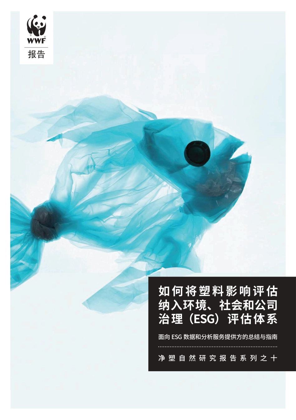如何将塑料影响纳入环境、社会和公司治理(ESG)评估体系-WWF_第1页