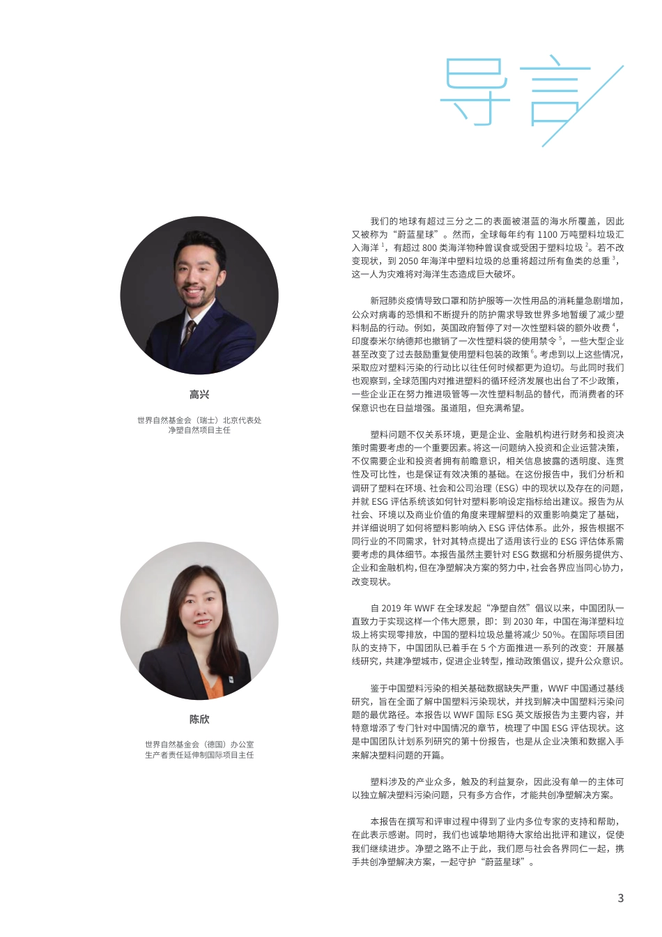 如何将塑料影响纳入环境、社会和公司治理(ESG)评估体系-WWF_第3页