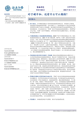 对于碳中和，还有什么可以期待？