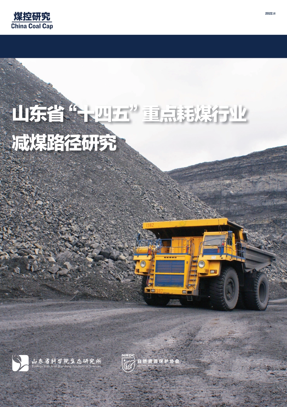 山东省“十四五”重点耗煤行业减煤路径研究-山东省科学院生态研究所_第1页