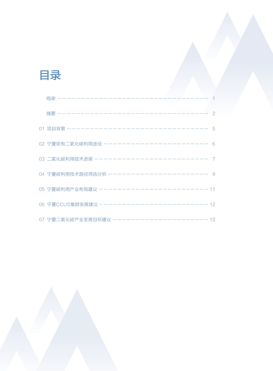 广东南方CCUS中心：宁夏碳产业发展路径研究报告（决策者摘要）_第2页
