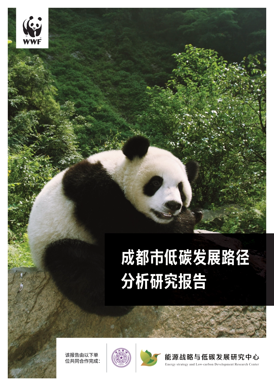 成都市低碳发展路径研究报告-WWF_第1页