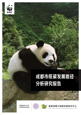 成都市低碳发展路径研究报告