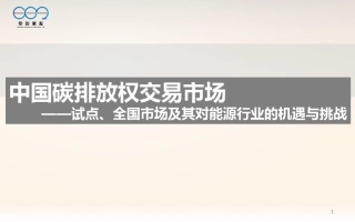 我国碳排放权交易市场(20210607224954)