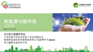 新能源与碳市场---大湾区碳中和协会