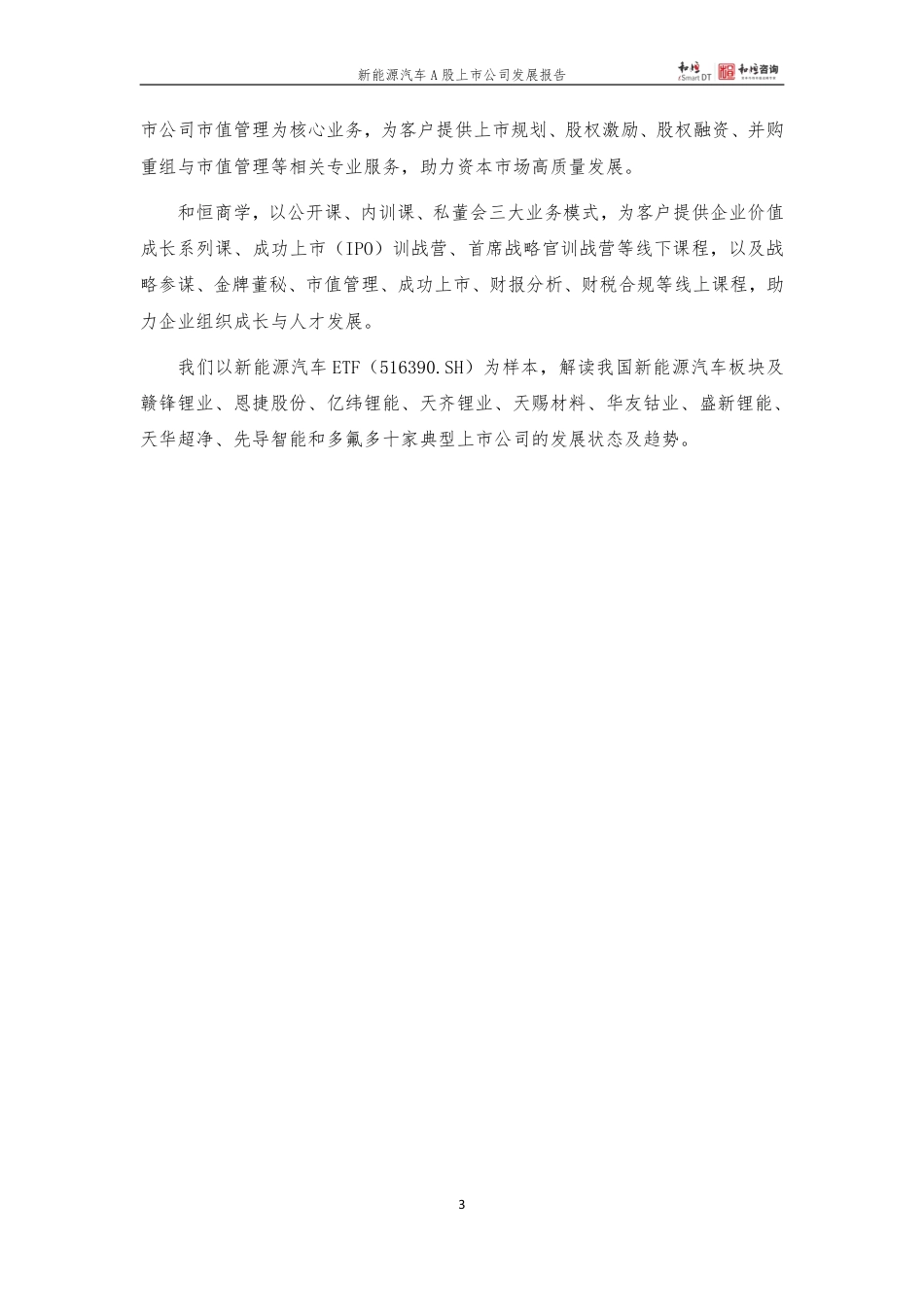 新能源汽车上市公司发展报告---和恒咨询_第3页