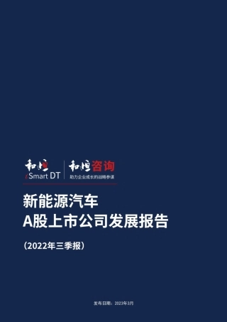 新能源汽车上市公司发展报告---和恒咨询