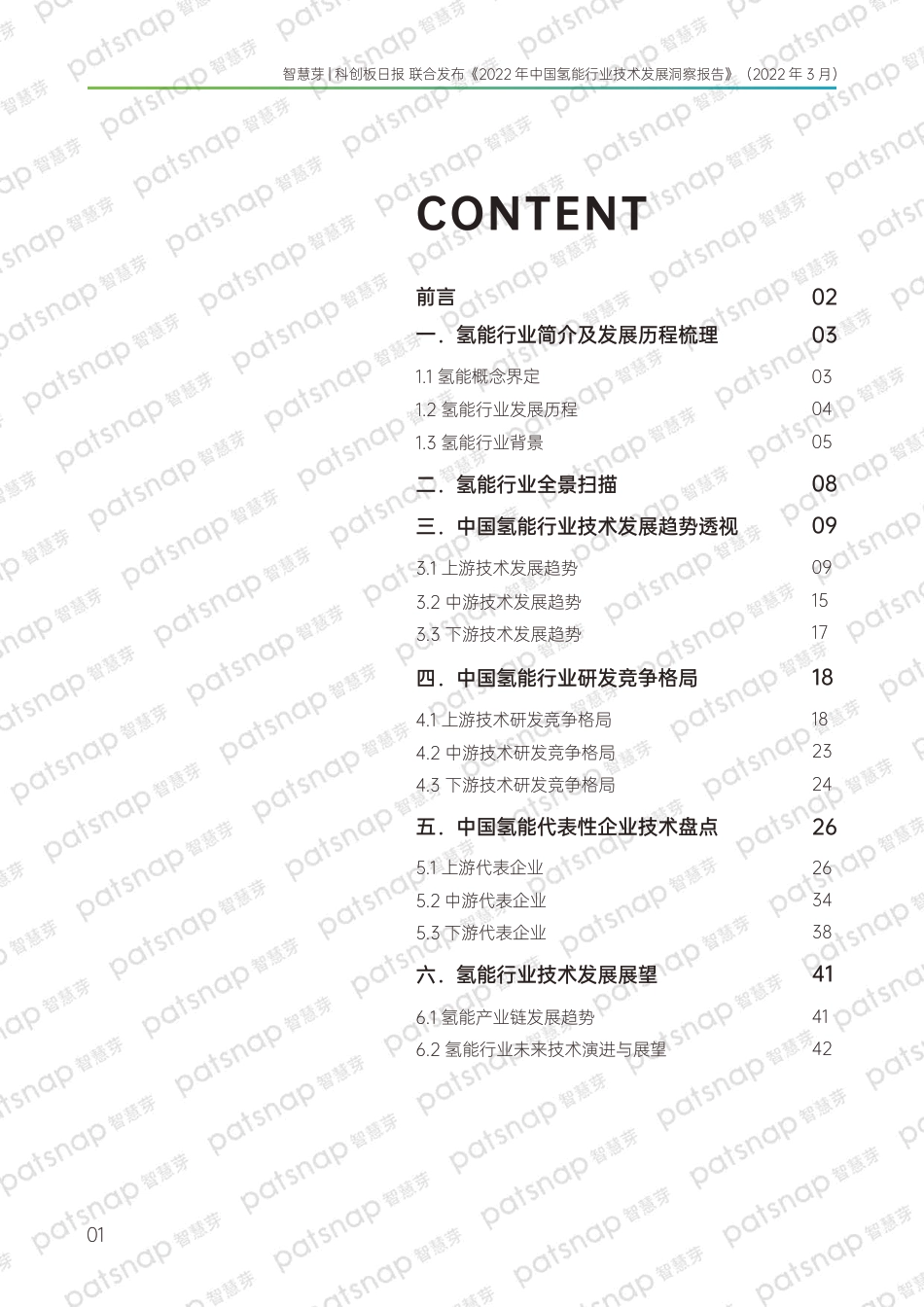 智慧芽-2022年中国氢能行业技术发展洞察报告_第2页