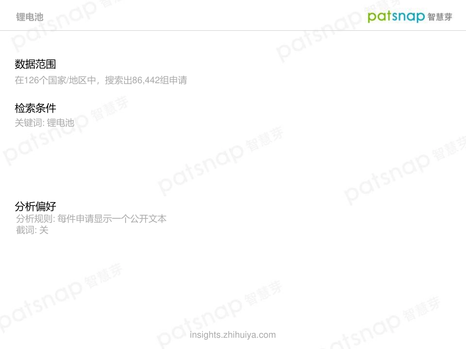 智慧芽Insights：锂电池技术全景分析报告_第2页