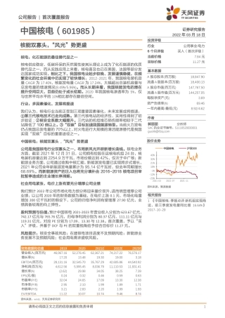 核能双寡头，“风光”势更盛---天风证券