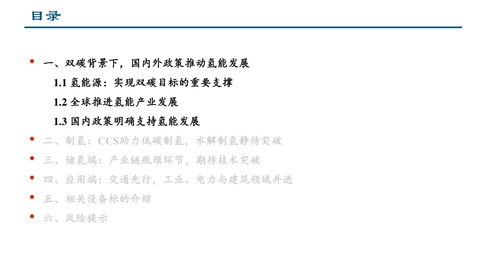 氢能行业：“双碳”趋势下的长坡厚雪赛道-中信建投_第2页