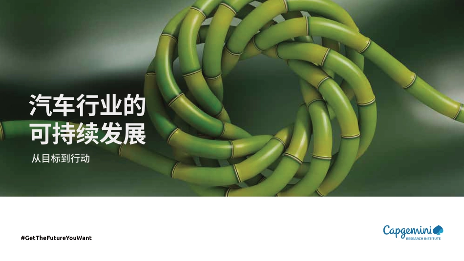 汽车行业的可持续发展：从目标到行动_第1页
