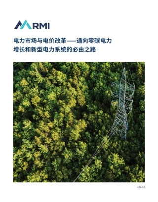 电力市场与电价改革——通向零碳电力增长和新型电力系统的必由之路
