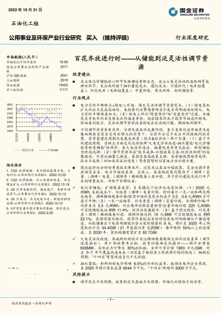 百花齐放进行时——从储能到泛灵活性调节资源-国金证券