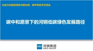 碳中和愿景下的河钢低碳绿色发展路径