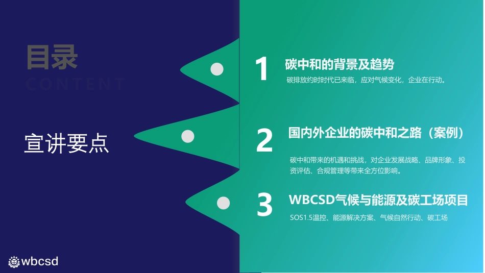 碳中和时代国内外零碳转型之大趋势-WBCSD _第2页
