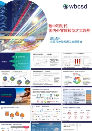 碳中和时代国内外零碳转型之大趋势-WBCSD